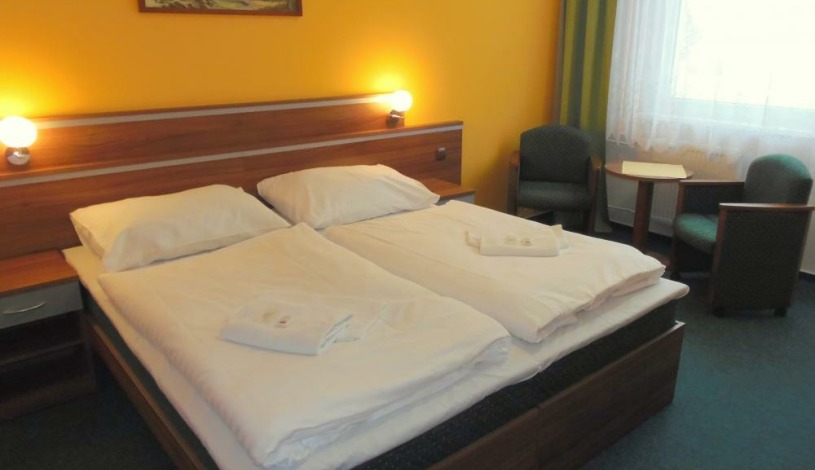 Hotel Dlouhé Stráně Loučná nad Desnou - Budova I – Dvoulůžkový pokoj (sprcha, WC, TV)